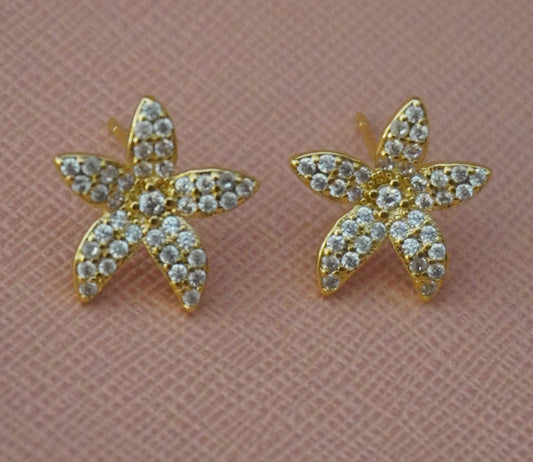 Rishva AD Stud Earrings