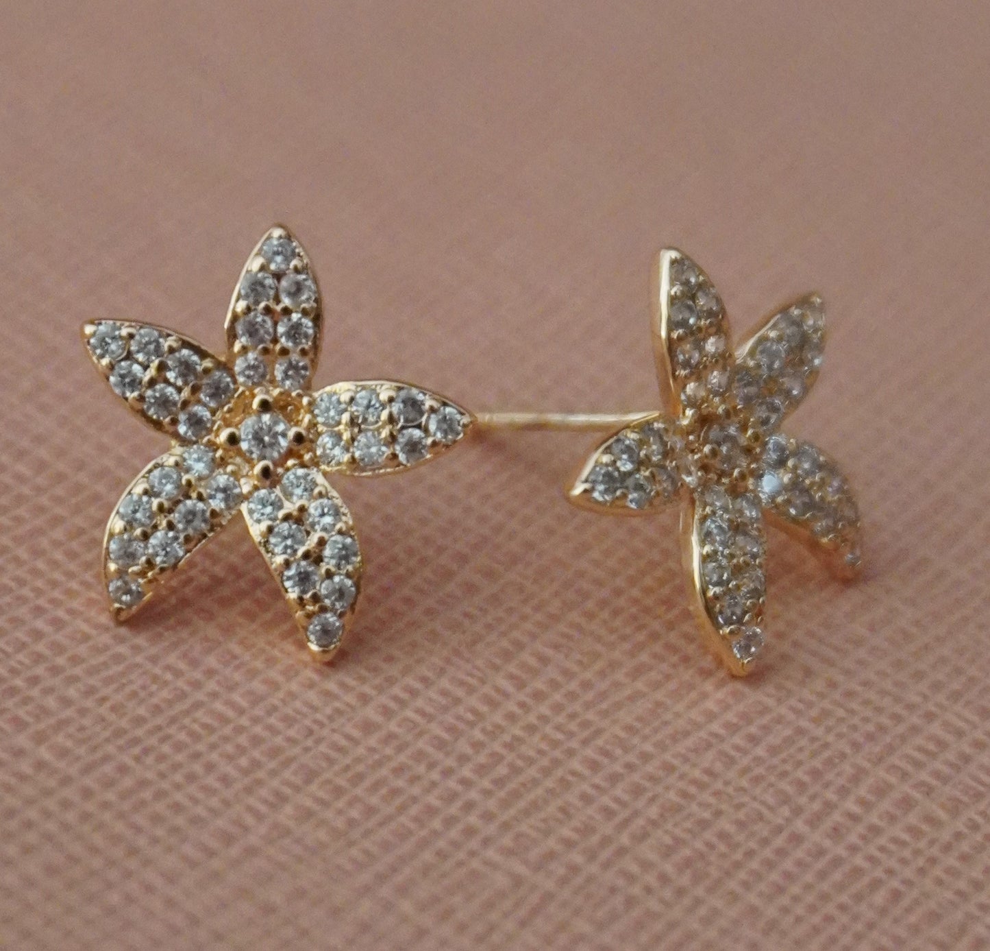 Rishva AD Earrings